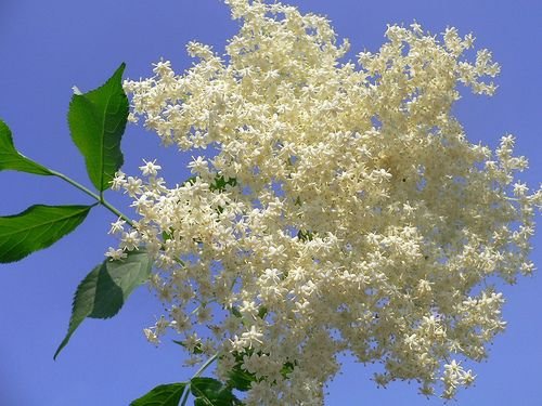 7b96772e7a0e0f5c31f1938d65c6461e