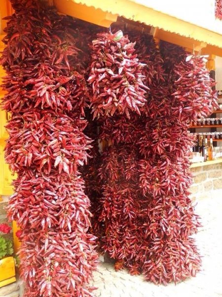 8bc85ad86f0c3e8b092fd9593f6a3646